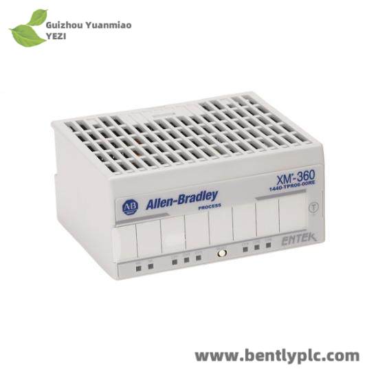 1440-TUN06-00RE  Temperature Measurement Module