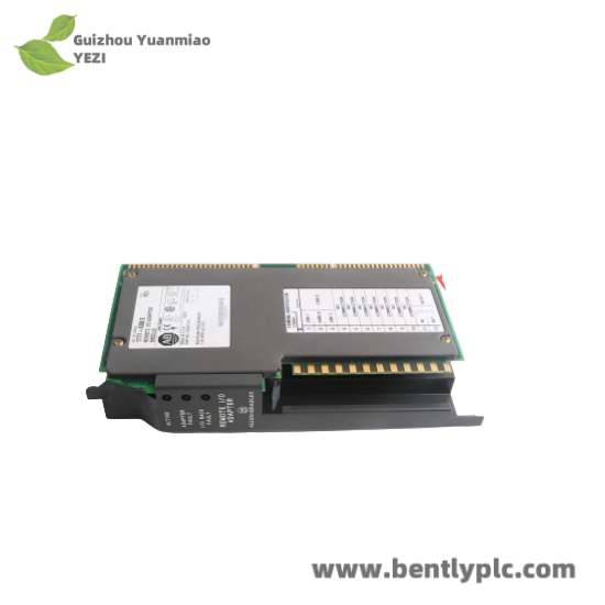1771-ASB/E I/O Adapter Module