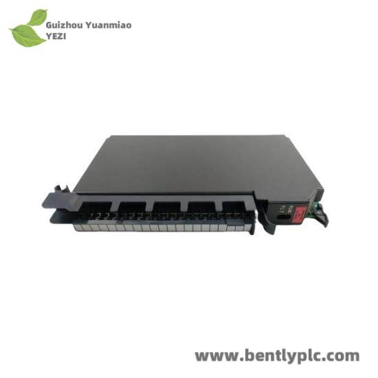 1771-IFF  1771IFF Analog Input Module