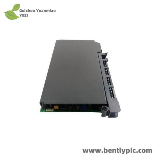 1771-IFF  1771IFF Analog Input Module