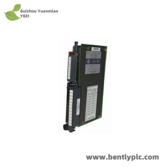 1771WH Input Module