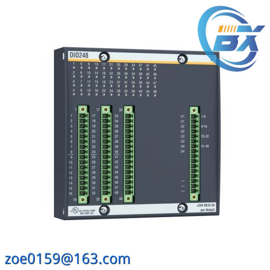 Bachmann DIO248  BACHMANN ELECTRONIC DIO248
