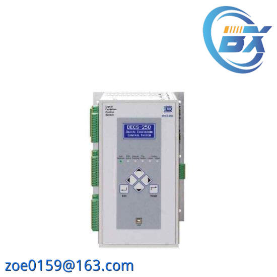 Basler DECS-200-2L
