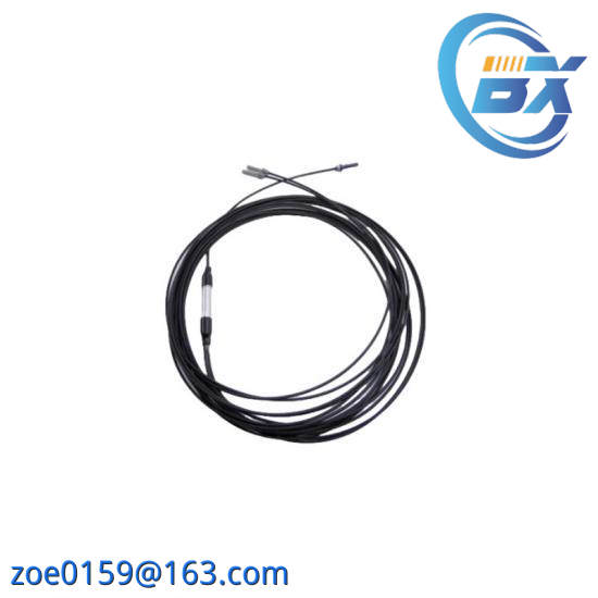 Busak+Shamban Ring PT301100-T46N
