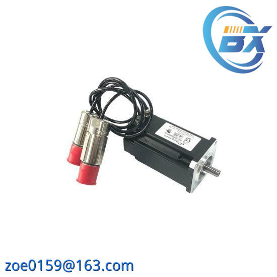 DANHER AKM22C-ANMN2-00 Servo Motor