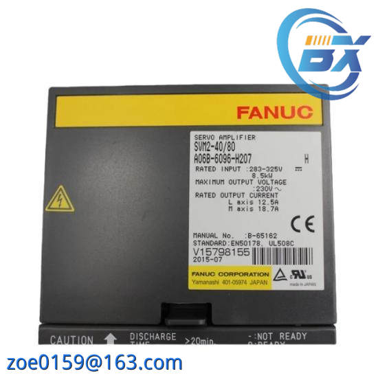 Fanuc A06B-6096-H207  GE Servo Module