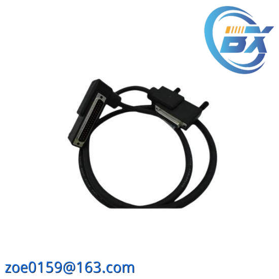 Foxboro RH916DB  Termination Cable