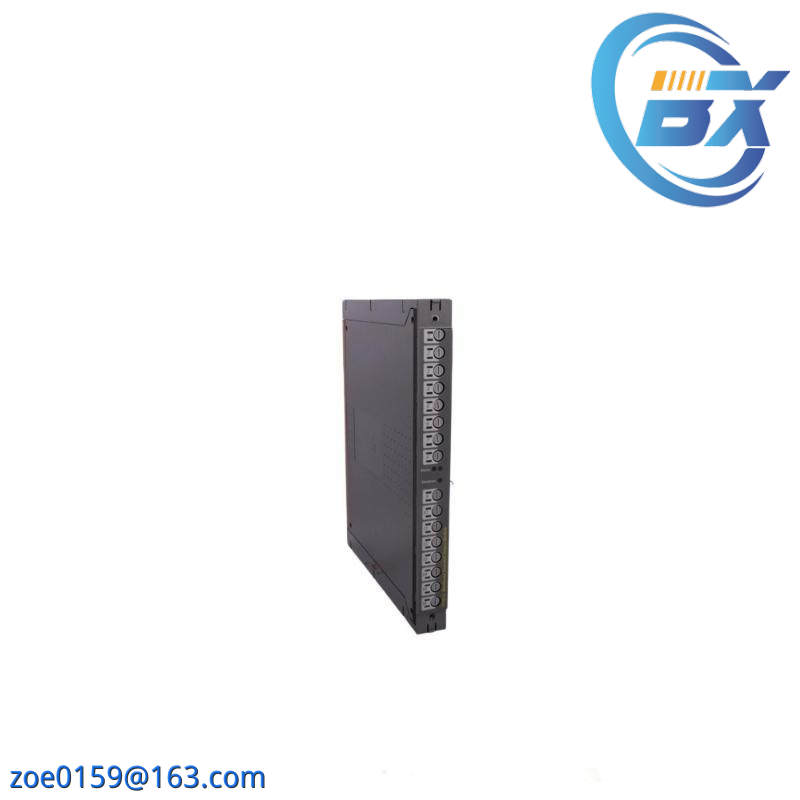 ICS TRIPLEX T811B Module