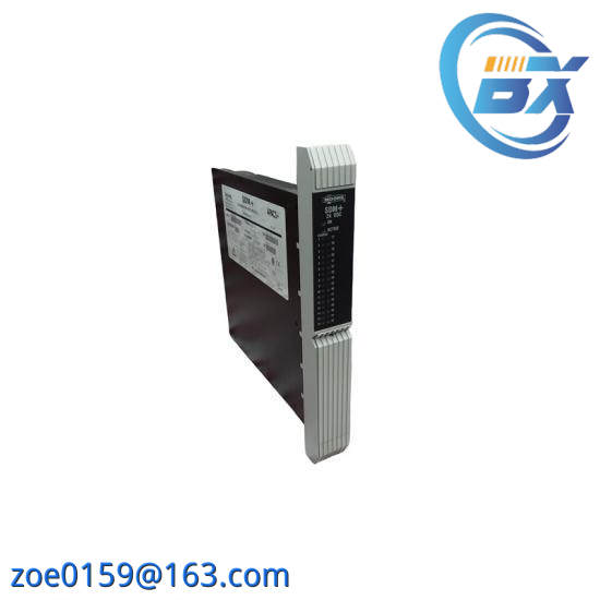 Moore 39SDM024DCCBN 16101-174R/12 SDM+Standard Discrete Module