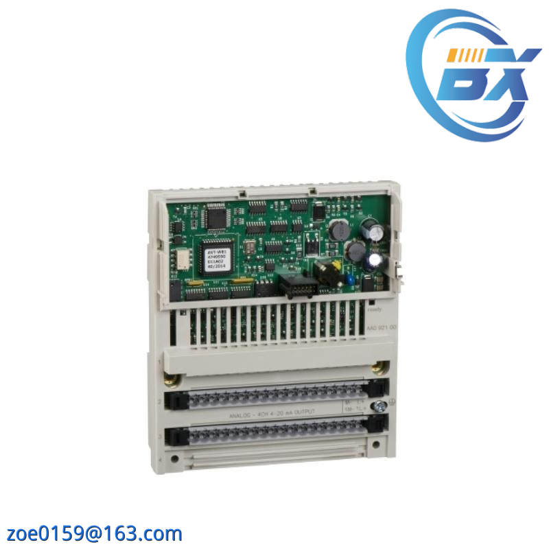 Schneider 170AAO92100 Analog Output