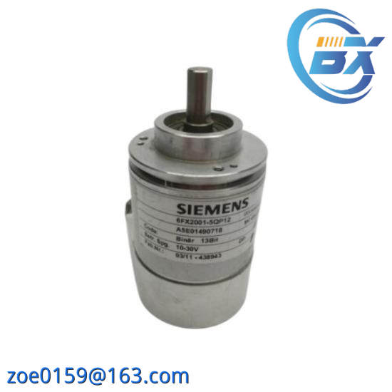 SIEMENS SMP-E217