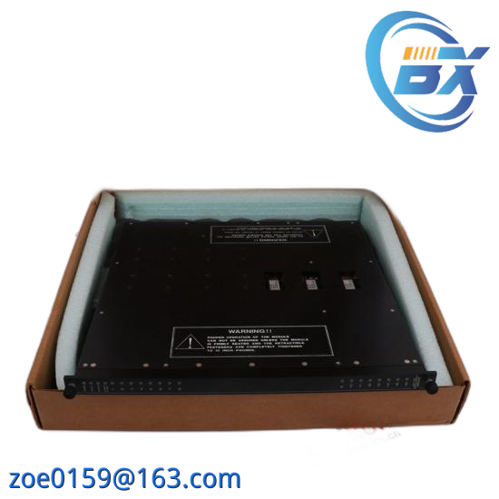 TRICONEX 3008N