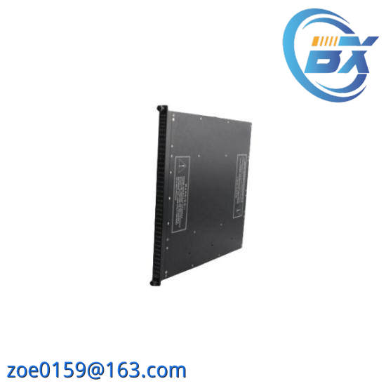 Triconex 7400169-310