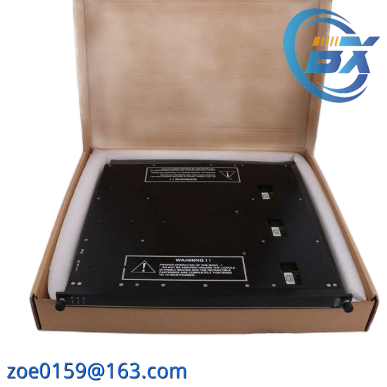 Triconex Termination Panel for 2755 7400061-600