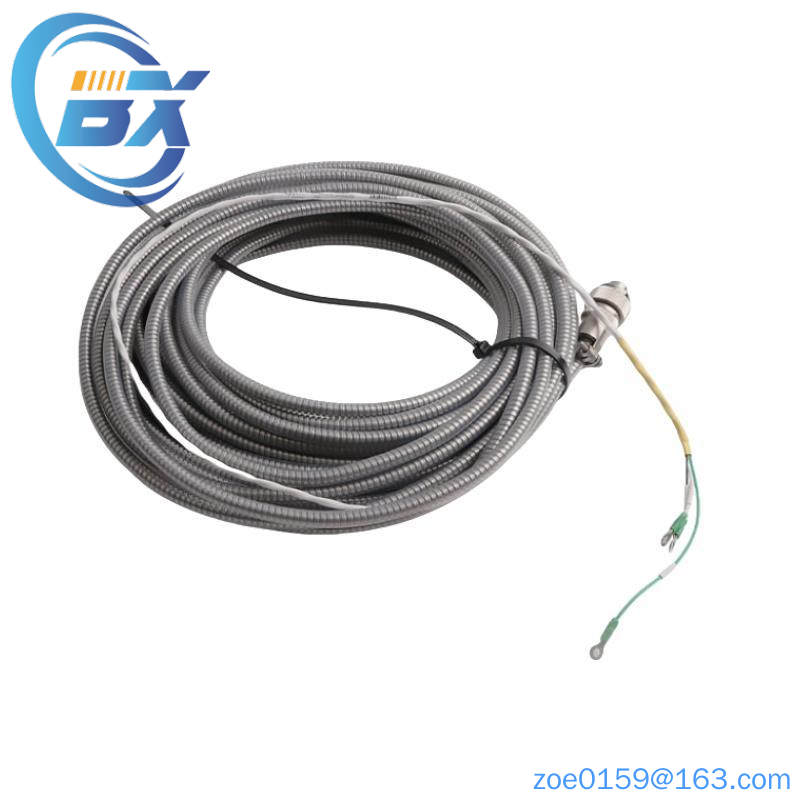 16137-122  Moore APACS I/O Cable Assembly