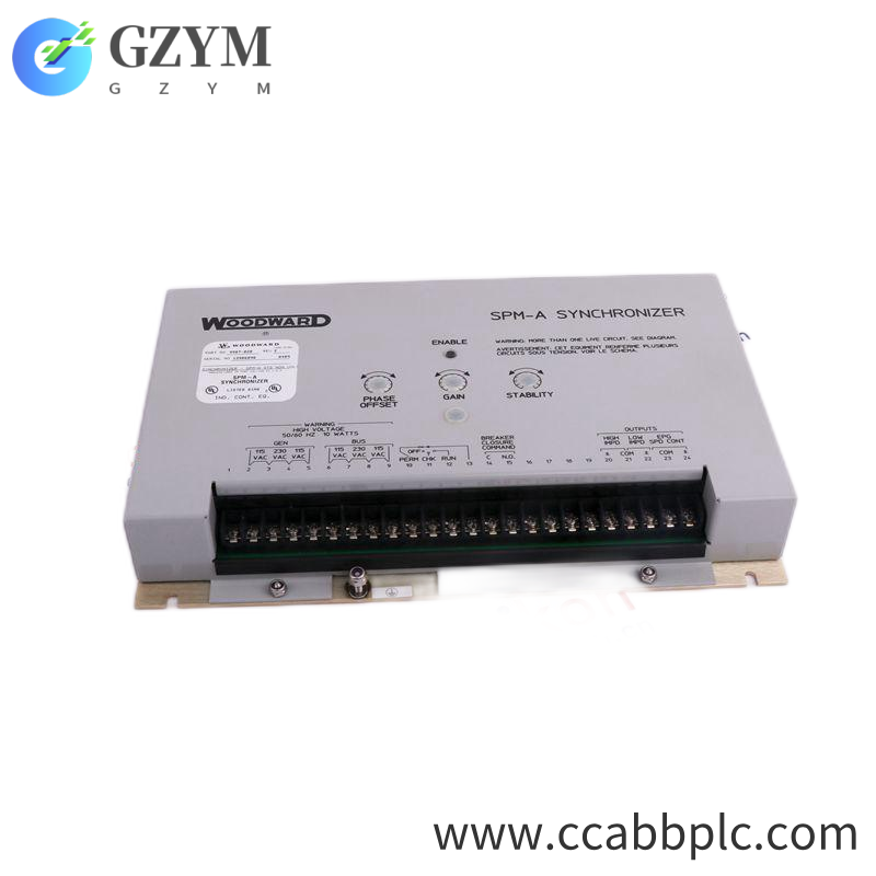 MKS 1579A00412LM1BV Analog Output Unit