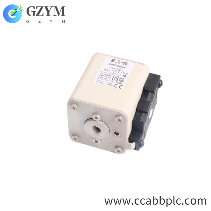 170M5388/PC72UD13C250T 3AUA0000090404  ABB FUSE