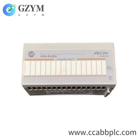 1794-IE12 61621045 Analog Isolated Output Module