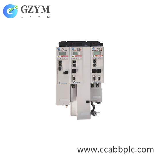 2198-D032-ERS3 Dual Axis Inverter