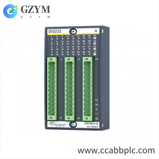 Bachmann DI0232 Digital Input/Output Module