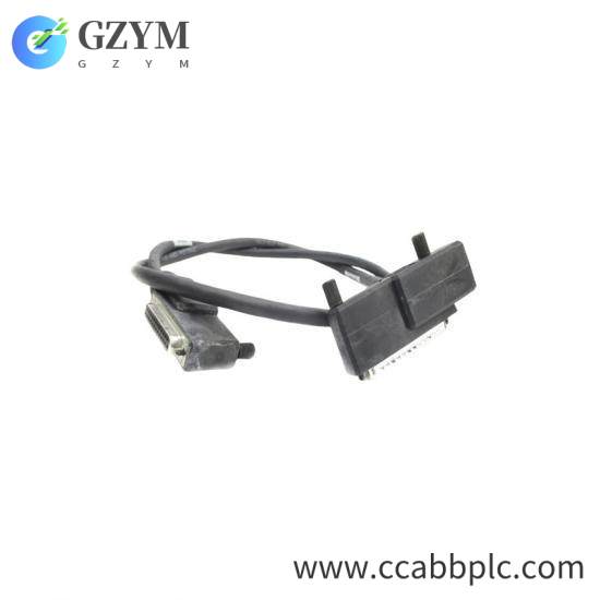 Foxboro P0916VL Termination Cable