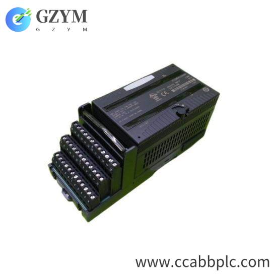 GE Fanuc IC200ALG266F input module