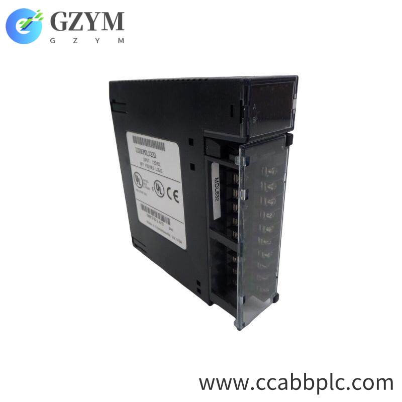 GE IC693MDL632D positive/negative logic input module