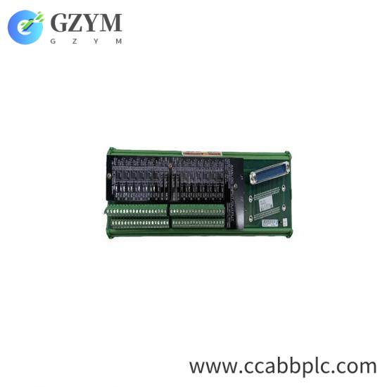 WOODWARD 5501-376 Analog I/O Module