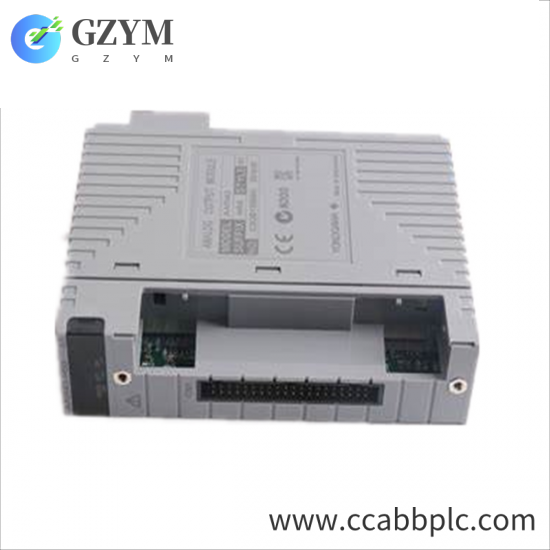 YOKOGAWA AAI543-H53 S1 Analog Input/Output Module