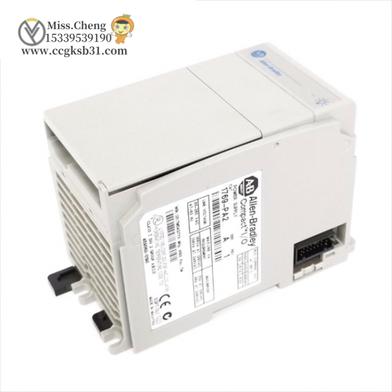 1769-PA2 217M5KF1WT PLC Power Supply