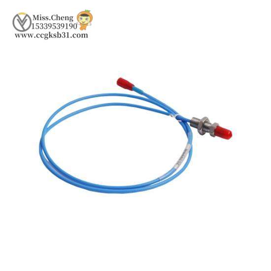 Bently Nevada WT0181-A45-B00 Extension Cable