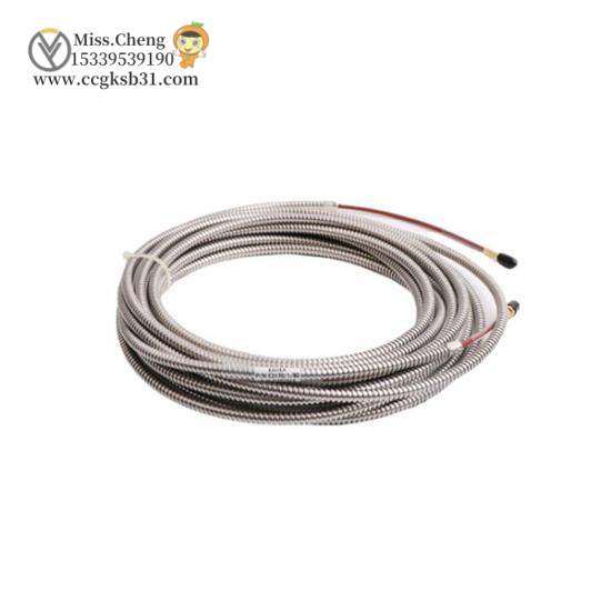 ENTEK E2172/1/80 Extension Cable