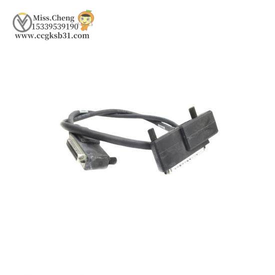 Foxboro P0916VL Termination Cable