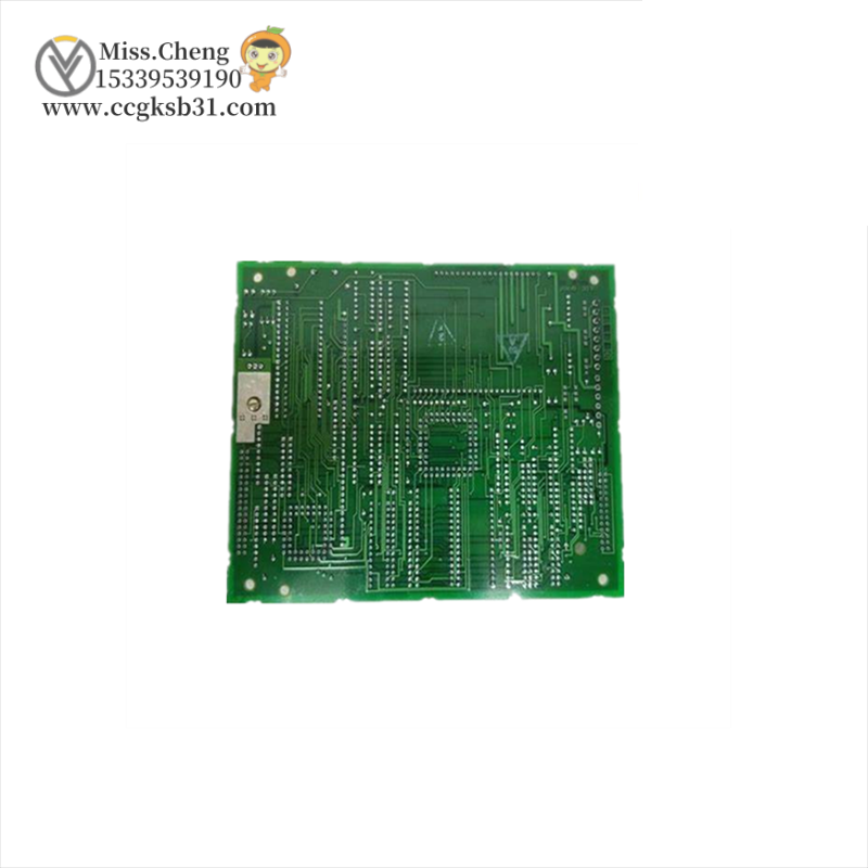 GE DS200TCCAG1B I/O ANALOG CARD