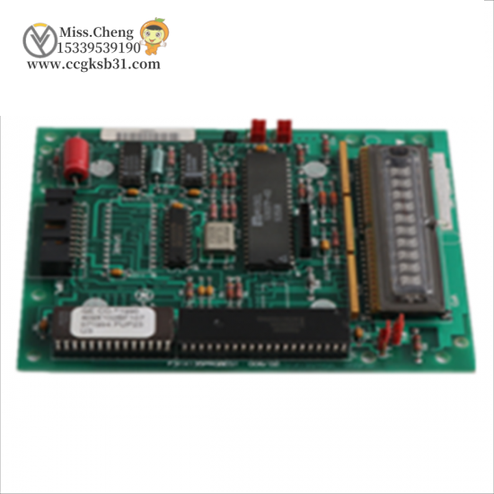 GE FANUC 531X135PRGAYM2 PROGRAM BOARD