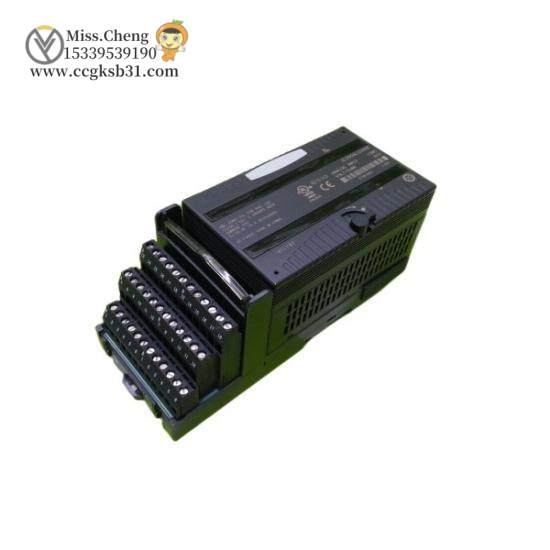 GE Fanuc IC200ALG266F input module