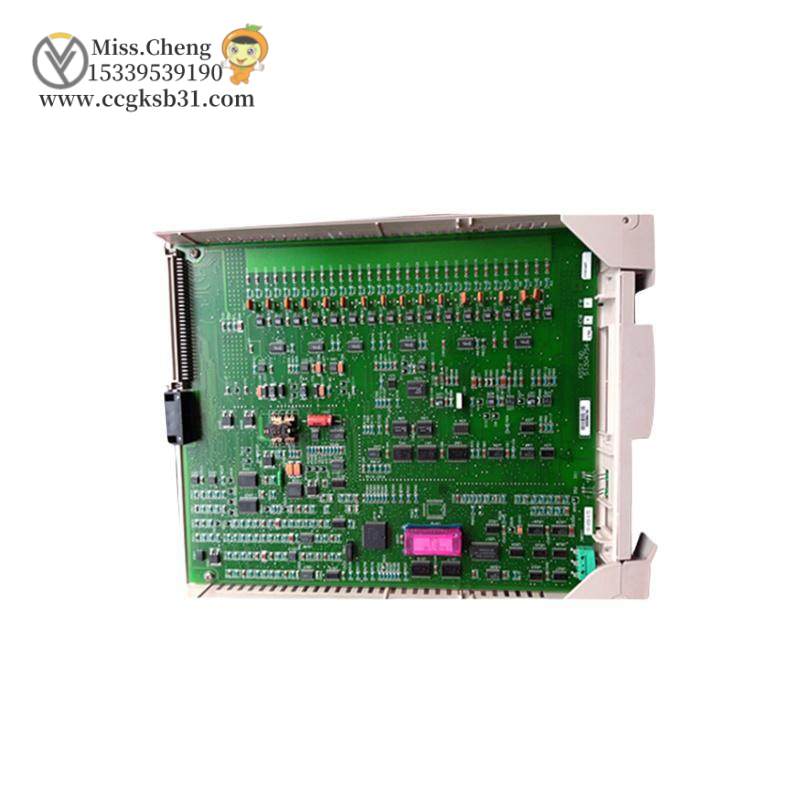 HOEYWELL 51306386-150 Input Module