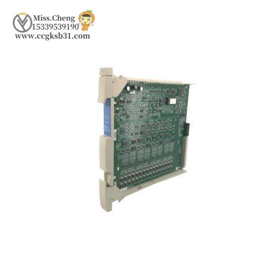 Honeywell 80363975-100 Digital Output Module