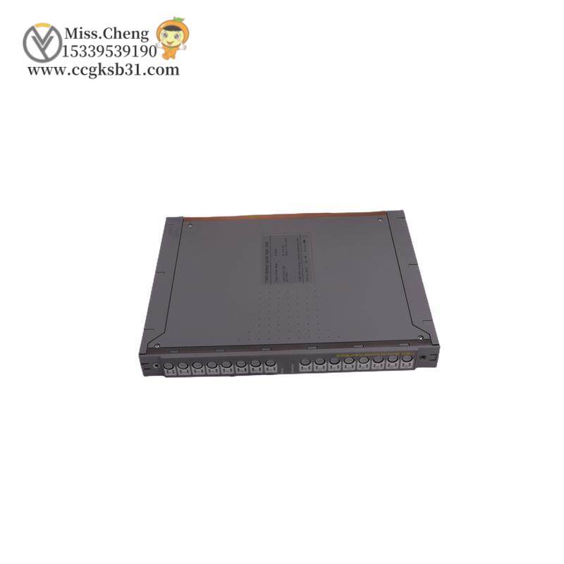 ICS TRIPLEX T3510 POWER SUPPLY MODULE