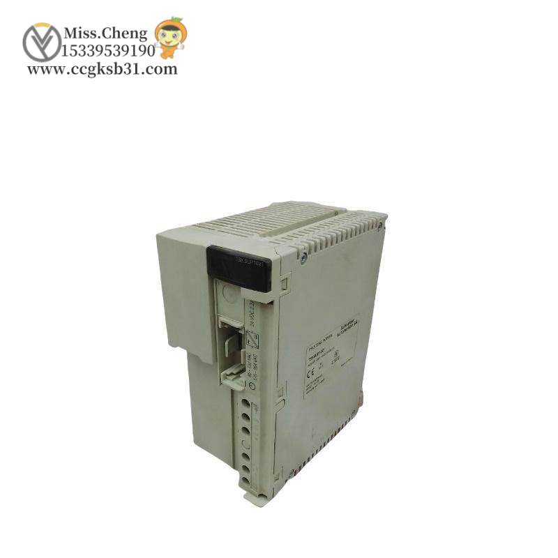 Modicon TSXSUP1021 Power Supply Process Module