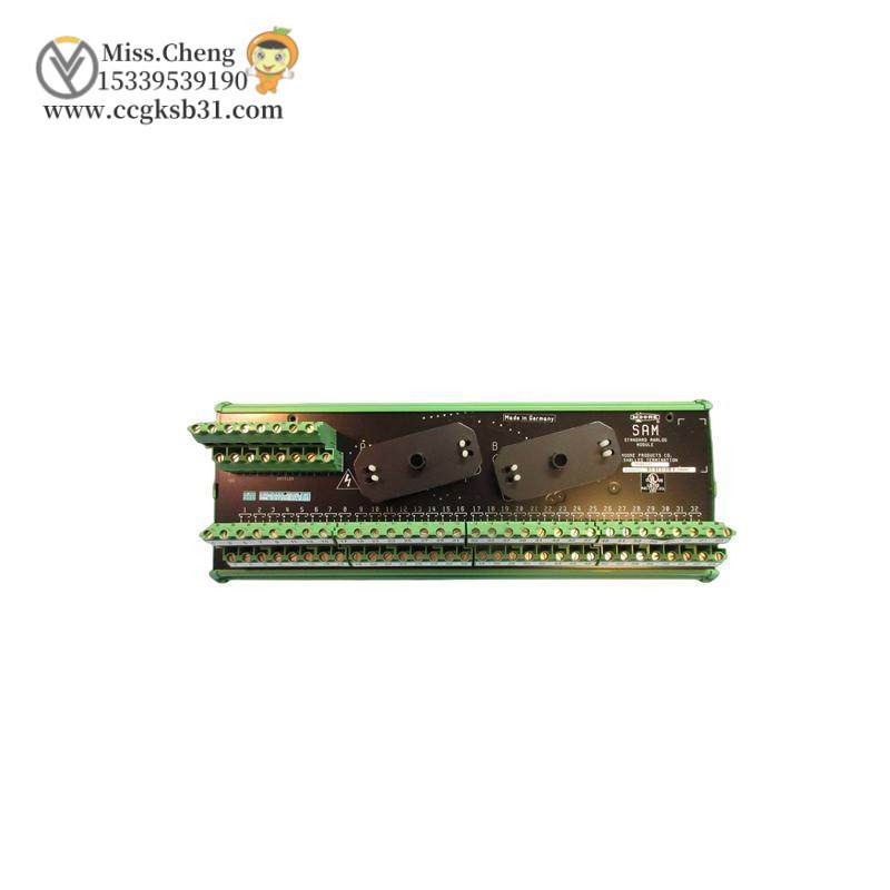 SIEMENS 16169-1-07 ANALOG MODULE