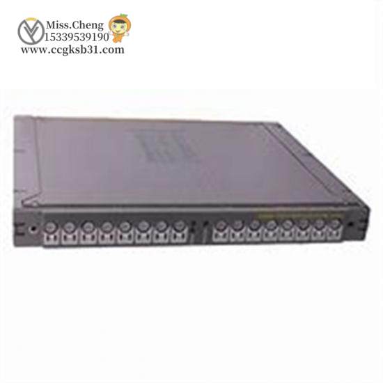 T8451 Digital Output Module