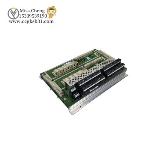 TRICONEX 7400206-100 PLC MODULE