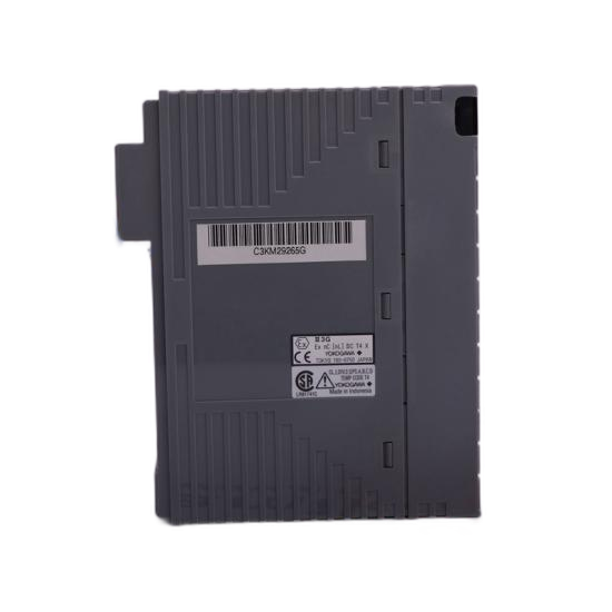 ABB FAU810  Dual Channel Complete Assembly