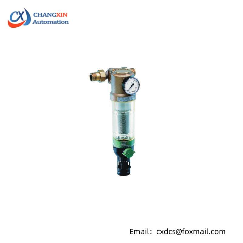 BRAUKMANN F76CS-1AA reverse rinsing filters