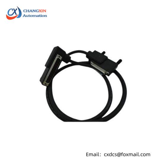 Foxboro RH916DB  Termination Cable