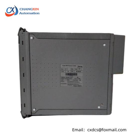 ICS TRIPLEX T8110C