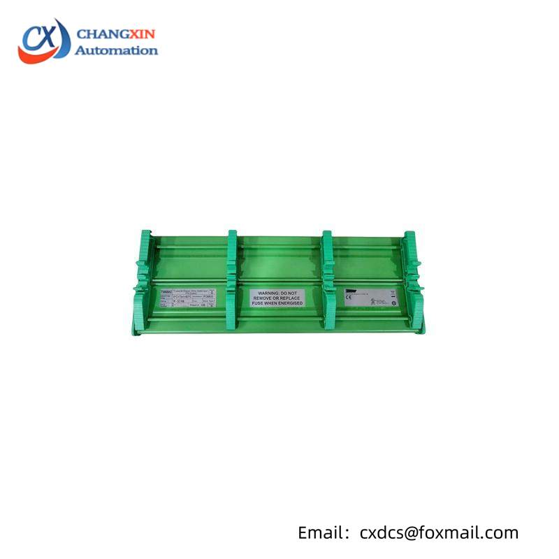 ICS Triplex T8800C Digital Input FTA