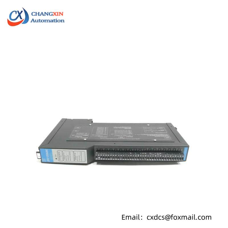 Square D SY/MAX 8030-RIM125 Analog Input