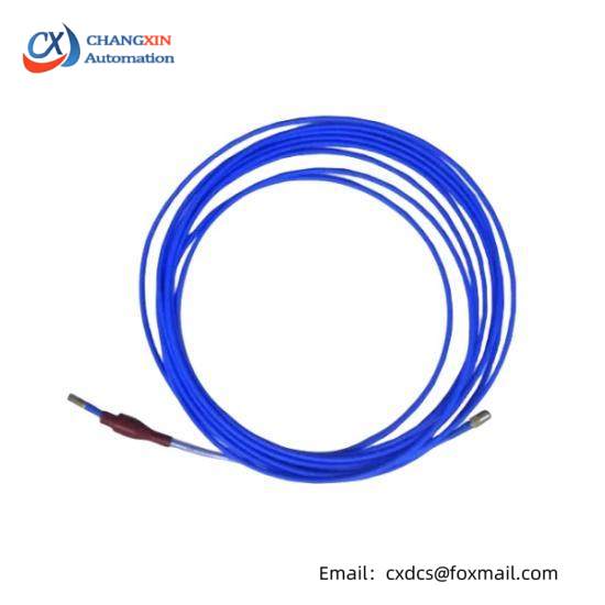 TM032-A00-B00-C00-D00-E00-F00-G00  Bently Nevada Extension Cable